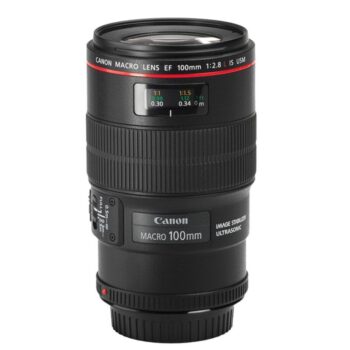Canon EF 100mm f/2.8L Macro IS USM