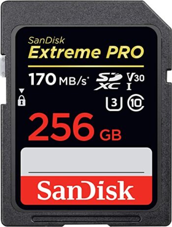 SanDisk Extreme Pro