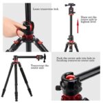 Triopo (GA-258) D-2A