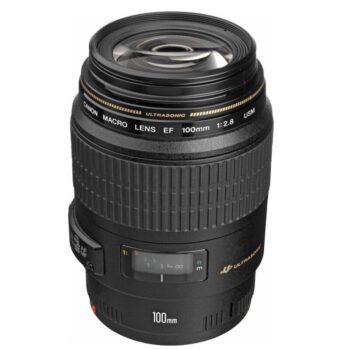 Canon EF 100mm f/2.8 Macro Lens