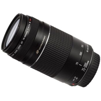 Canon EF 75-300mm f/4-5.6 III USM