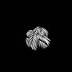 NANLITE-AS-GB-FZ60-SET2