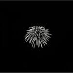 NANLITE-AS-GB-FZ60-SET2