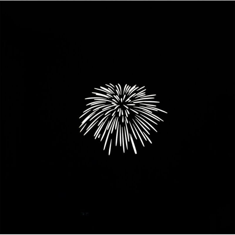 NANLITE-AS-GB-FZ60-SET2-8