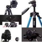 71EyT8fEzfL._AC_SL1500_