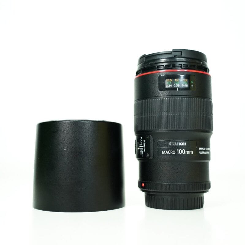 5801125388435441669 (1)