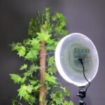 General-Pro-cs-2600-round-led-panel-rgb-2